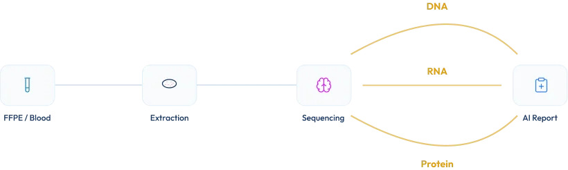 Assay Workflow icon